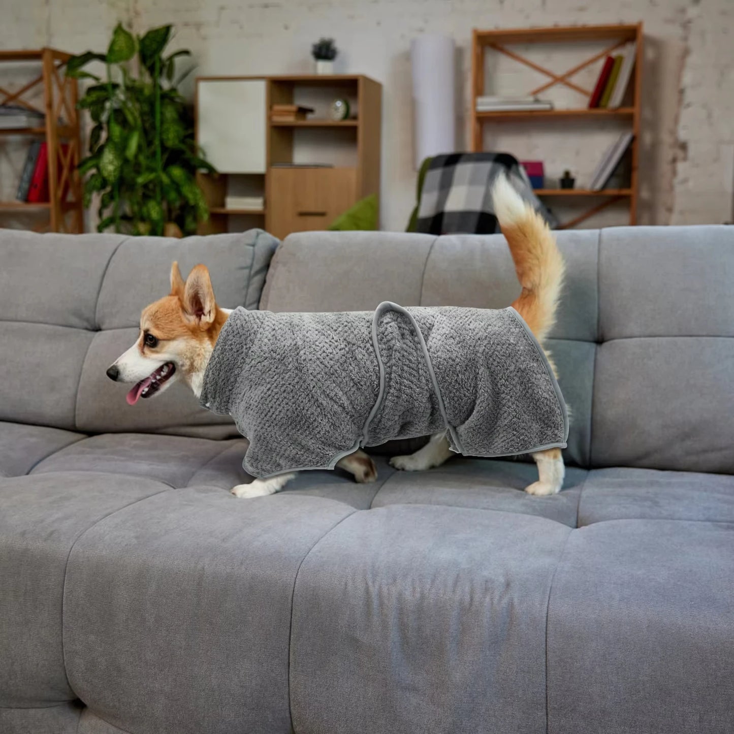 SoftWrap Dog Robe
