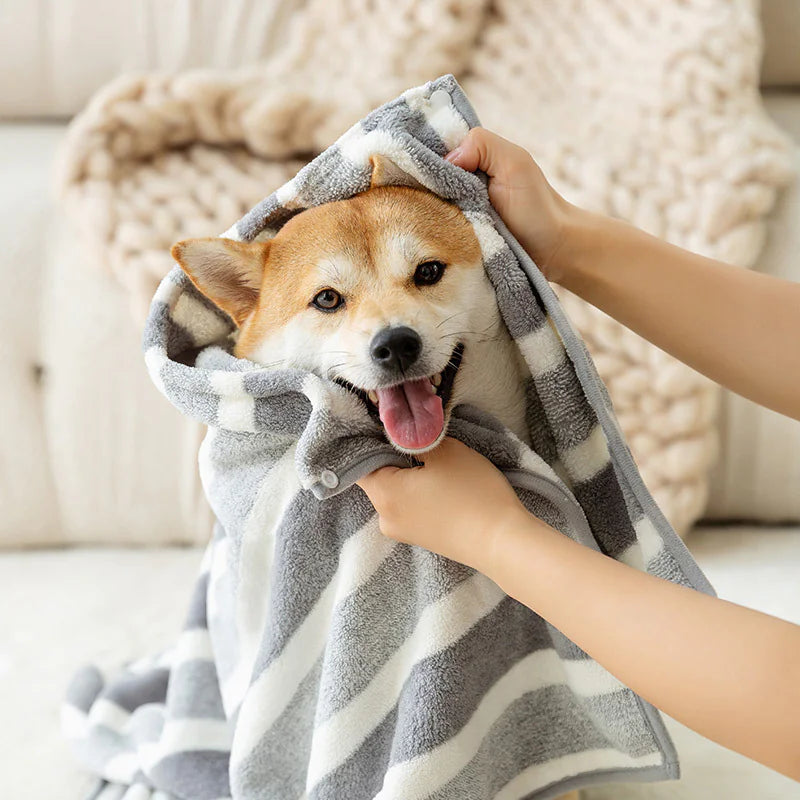 Dog Supplies